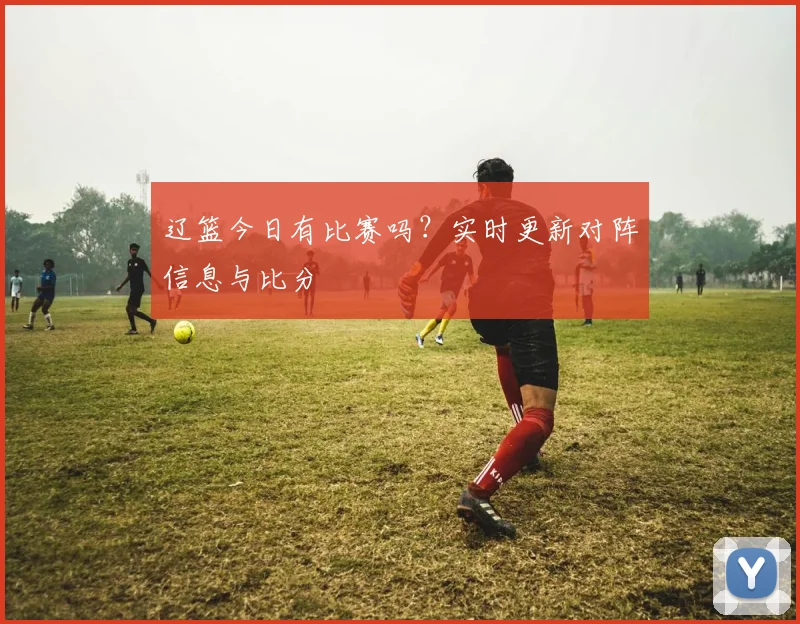 辽篮今日有比赛吗?实时更新对阵信息与比分